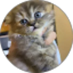 Review From Karnia Putri Mey Ronilasari