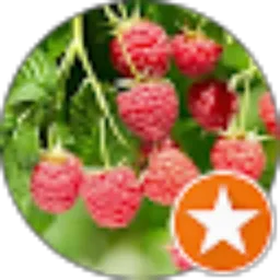 Review From Nurul Cahaya