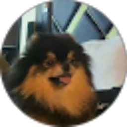 Review From Vinsensia Cynthia