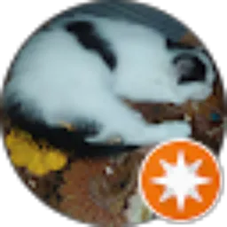 Review From Agung Nugroho