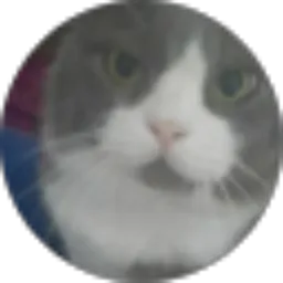 Review From Rui lopes