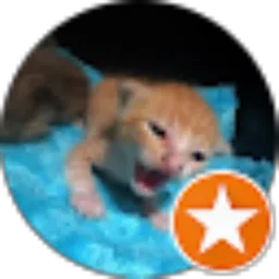 Review From duniya niya