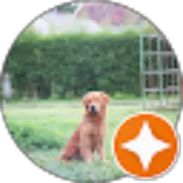 Review From golden shamrock