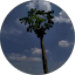 Review From Altaf Sadan