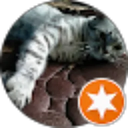 Review From Reyza Saputra