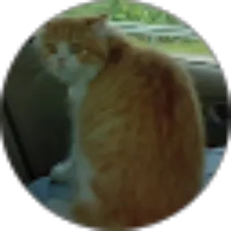 Review From Al Rifat Sakhi Zaidan