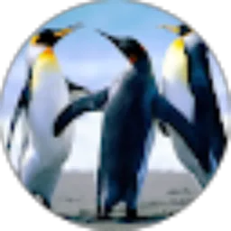 Review From sutikno tikno