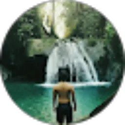 Review From Stevanus Surya Murti