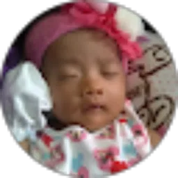 Review From Fahmi Widiyanto