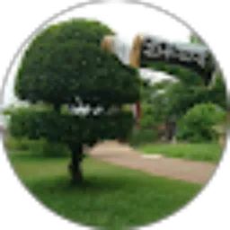 Review From Agus Fitriyanto