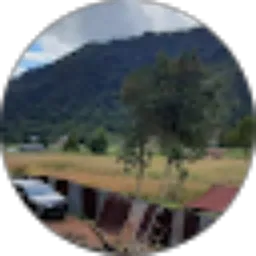 Review From Gibran Siregar