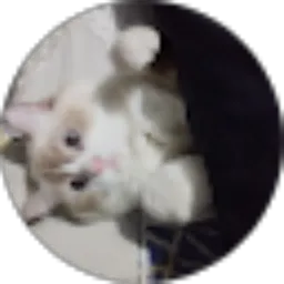 Review From Gian Farrel P.Djohan