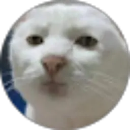 Review From Yoji Setia hati