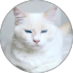 Review From Lucy Sellanov