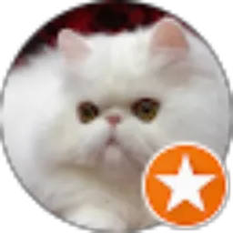 Review From Denny Wahyudi