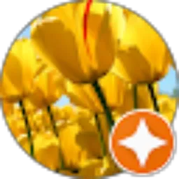 Review From dur kudus