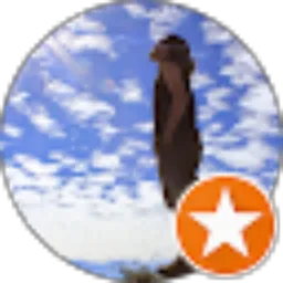 Review From Sakti Dwi Jaya