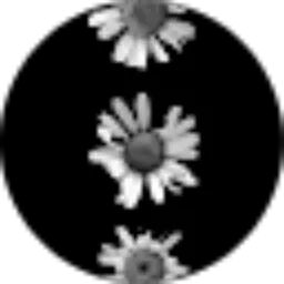 Review From Raudatul Aini