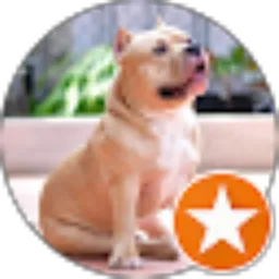 Review From grace ferryanti putri