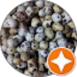 Review From Agus Riyanto