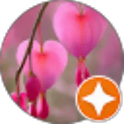 Review From S. Noviana