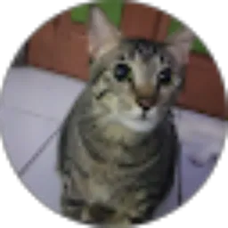 Review From wahyu wibawa