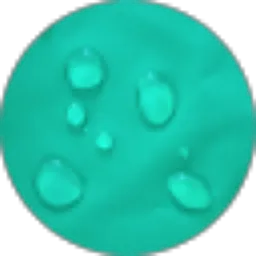 Review From shin kon