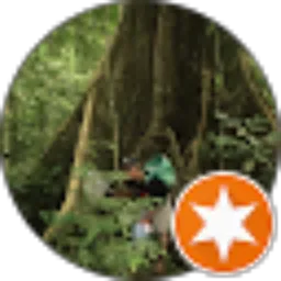 Review From Daniel kurniawan