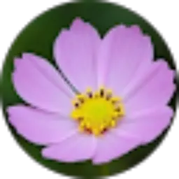 Review From Rinda ivana