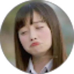 Review From cokro aji