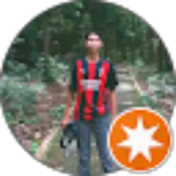 Review From Singgih Widjajanto