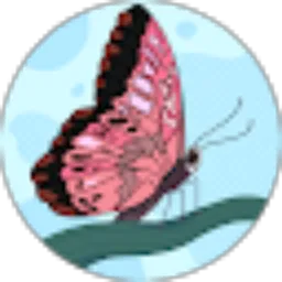 Review From Johara 78