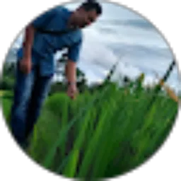 Review From Syaiful bokrest