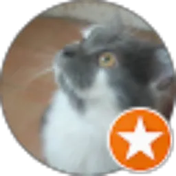 Review From Mohammad Wildan