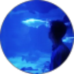 Review From Hananto Karsito