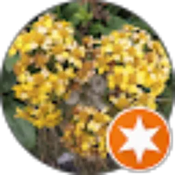 Review From dian pratiwi