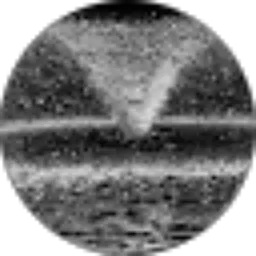 Review From Hans Lulan