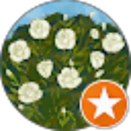 Review From Debi Sayyid