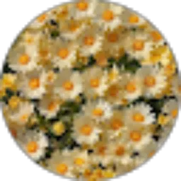 Review From Ike Fitti Wardani