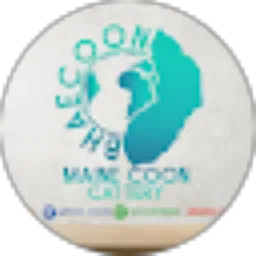 Review From Bhae Coon