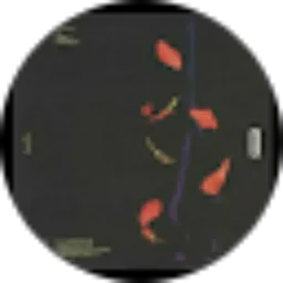 Review From lu'lu atsna