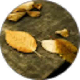 Review From Munatzir Fachri