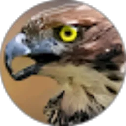 Review From Hafis Albar