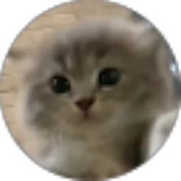 Review From panjullee xdx