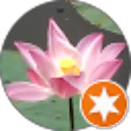 Review From James Djamiat Kamal