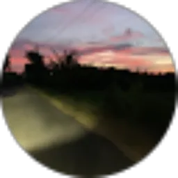 Review From Wah Dafa