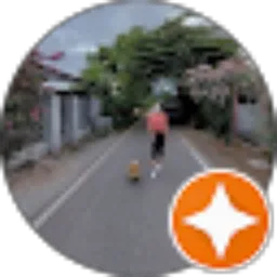 Review From Novi Tasari