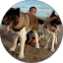 Review From Bella Sheena