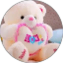 Review From Achirul Feramita Pribadi