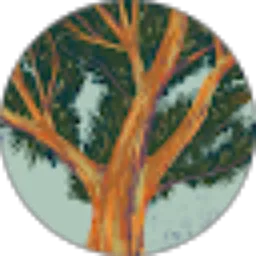 Review From Toni Bangko